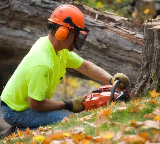 tree services Bellefontaine